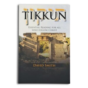 Tikkun - David Smith