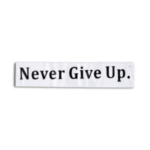 Scriptural Decal - Never give up