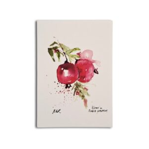 Cards - Water Paint Pomegranate - KLR Collection